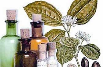 Farmácia De Manipulação E Homeopatia Rio Preto - Foto 1