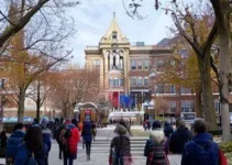 Núcleos Municipais de Artes