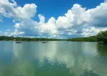 Grupo de Aracaju visita Rio Preto