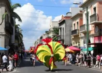 Blocos de rua carnaval Rio Preto