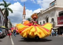 verba carnaval Rio Preto