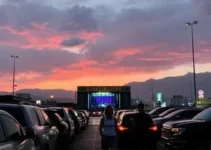 irregularidades no uso do parque