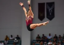 Copa de Ginástica Artística