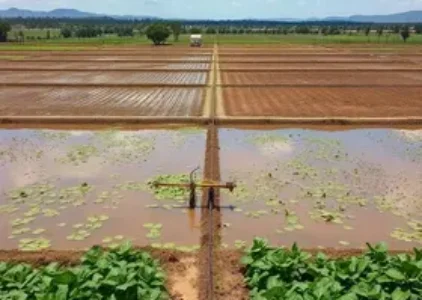 Últimas noticias de São José do Rio Preto