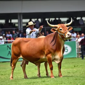 EXPO Rio Preto