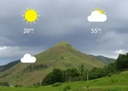 Últimas noticias de São José do Rio Preto
