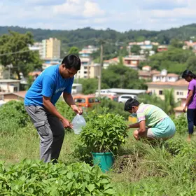 Projeto Cidade Limpa