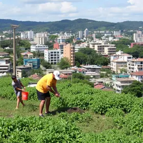 Cidade Limpa