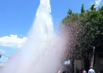 comemoração em São José do Rio Preto