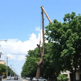 licitação em Rio Preto