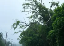 temporais e ventos fortes