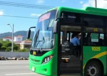 ônibus gratuito