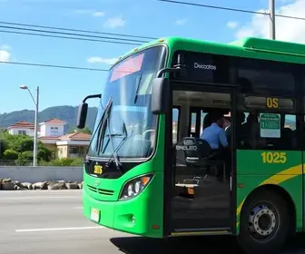 ônibus gratuito