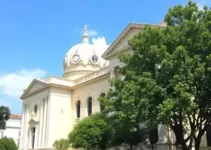 Primavera dos Museus